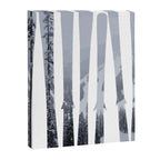 Morrisey Skis | Ski Designs | DopeyArt Canvas Print Gallery Image 6