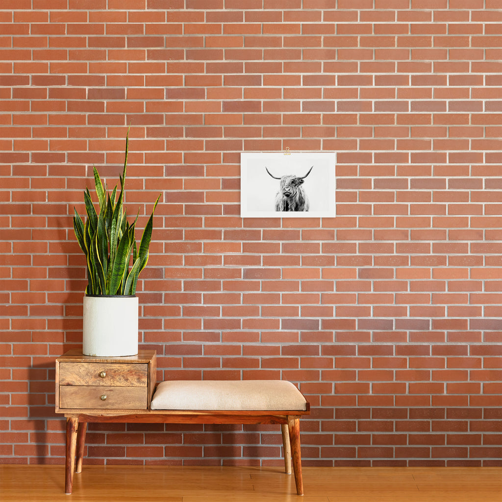 portrait of a highland cow (horizontal) Art Print Gallery Image 2