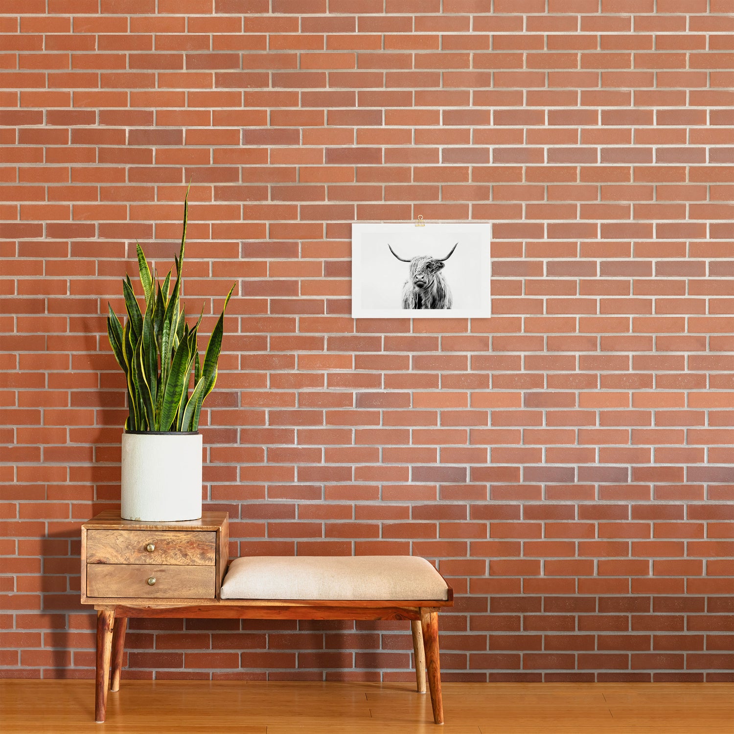 portrait of a highland cow (horizontal) Art Print Gallery Image 2