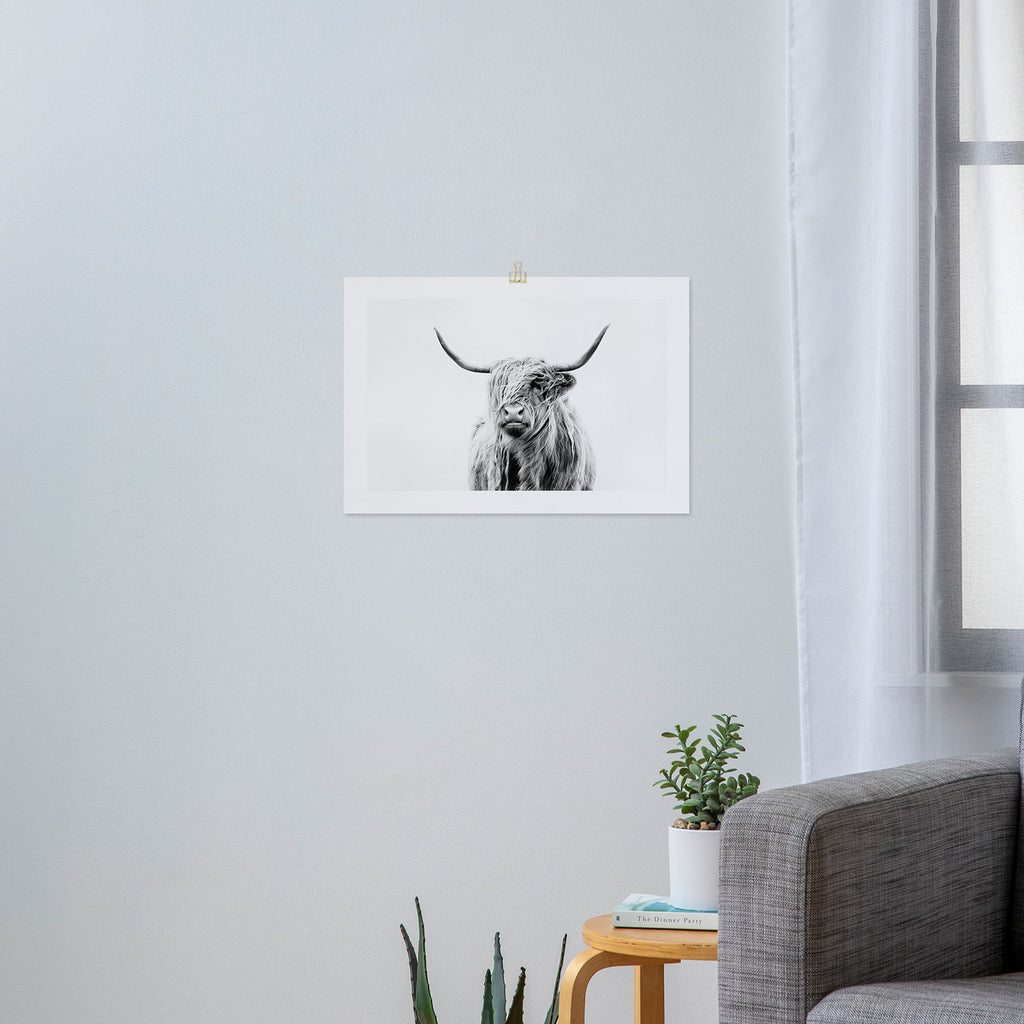 portrait of a highland cow (horizontal) Art Print Gallery Image 3