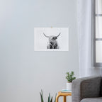 portrait of a highland cow (horizontal) Art Print Gallery Image 3