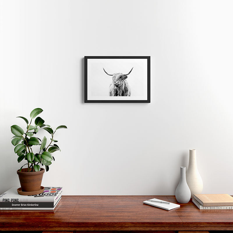 portrait of a highland cow (horizontal) Framed Art Print Gallery Image 2