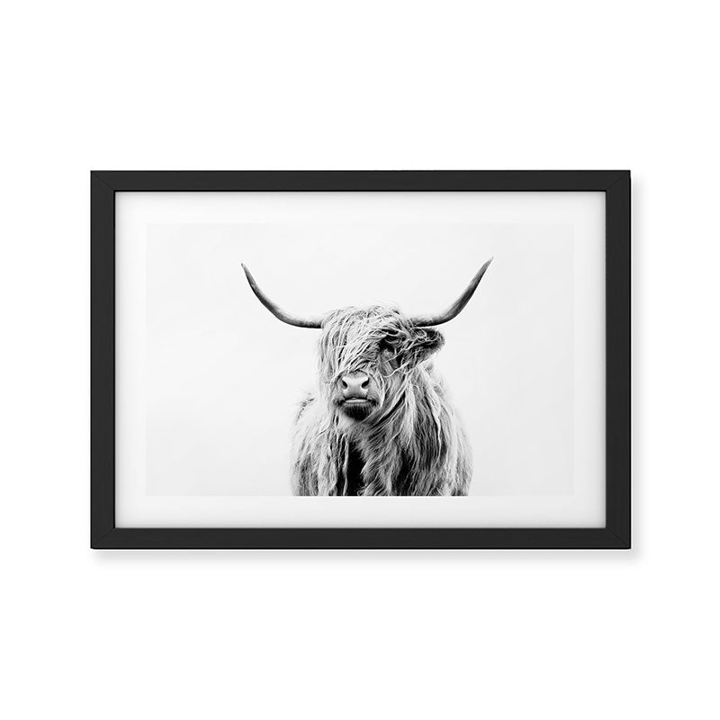 portrait of a highland cow (horizontal) Framed Art Print Gallery Image 2