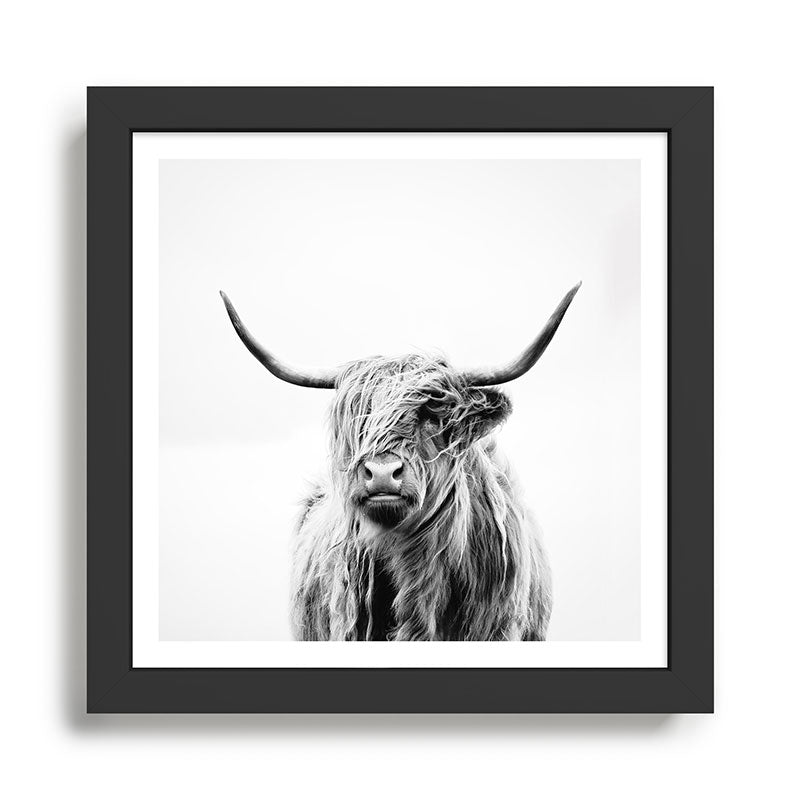 portrait of a highland cow Framed Art Print Gallery Image 1