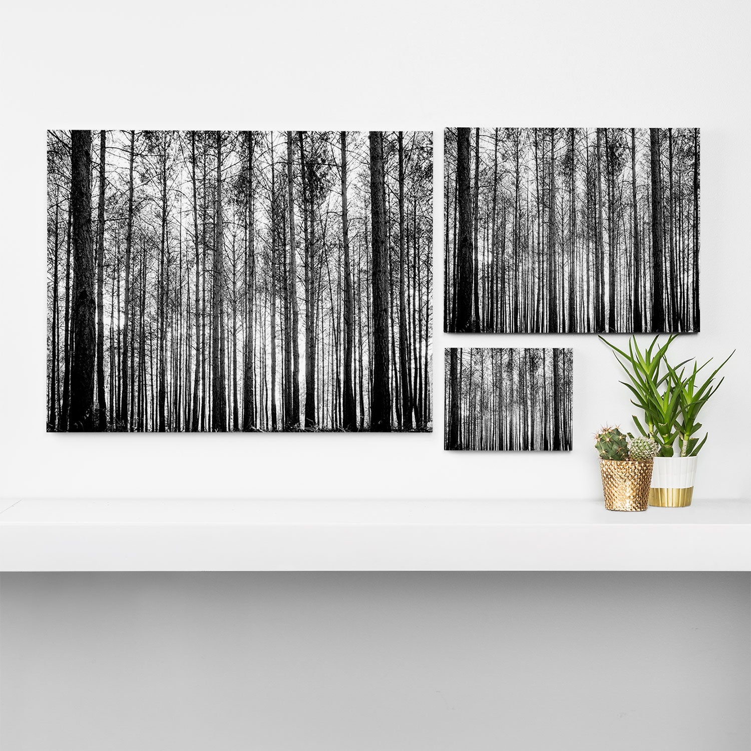 trees in forest landscape - black and white nature photography Canvas Print Gallery Image 3