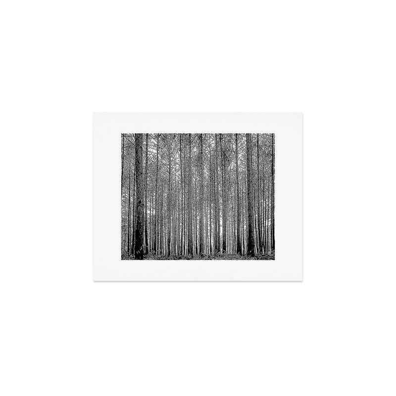 trees in forest landscape - black and white nature photography Art Print