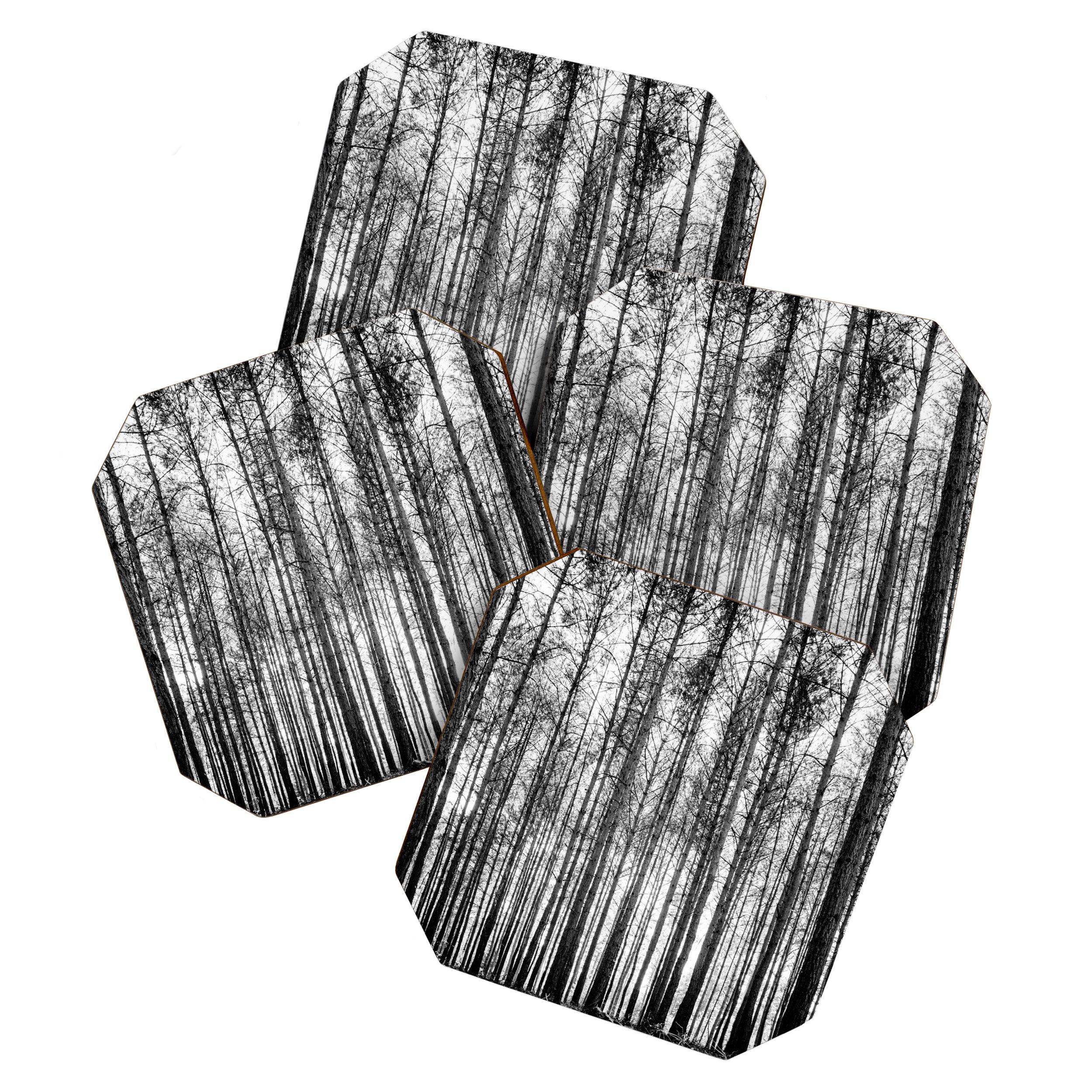trees in forest landscape - black and white nature photography Coaster Gallery Image 1