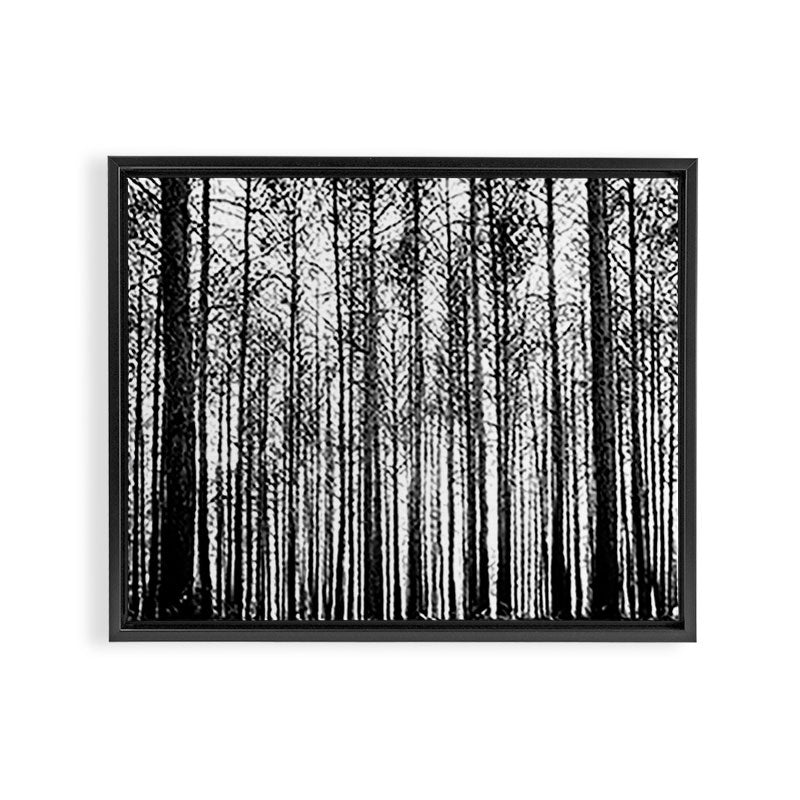 trees in forest landscape - black and white nature photography Framed Canvas Print Gallery Image 3