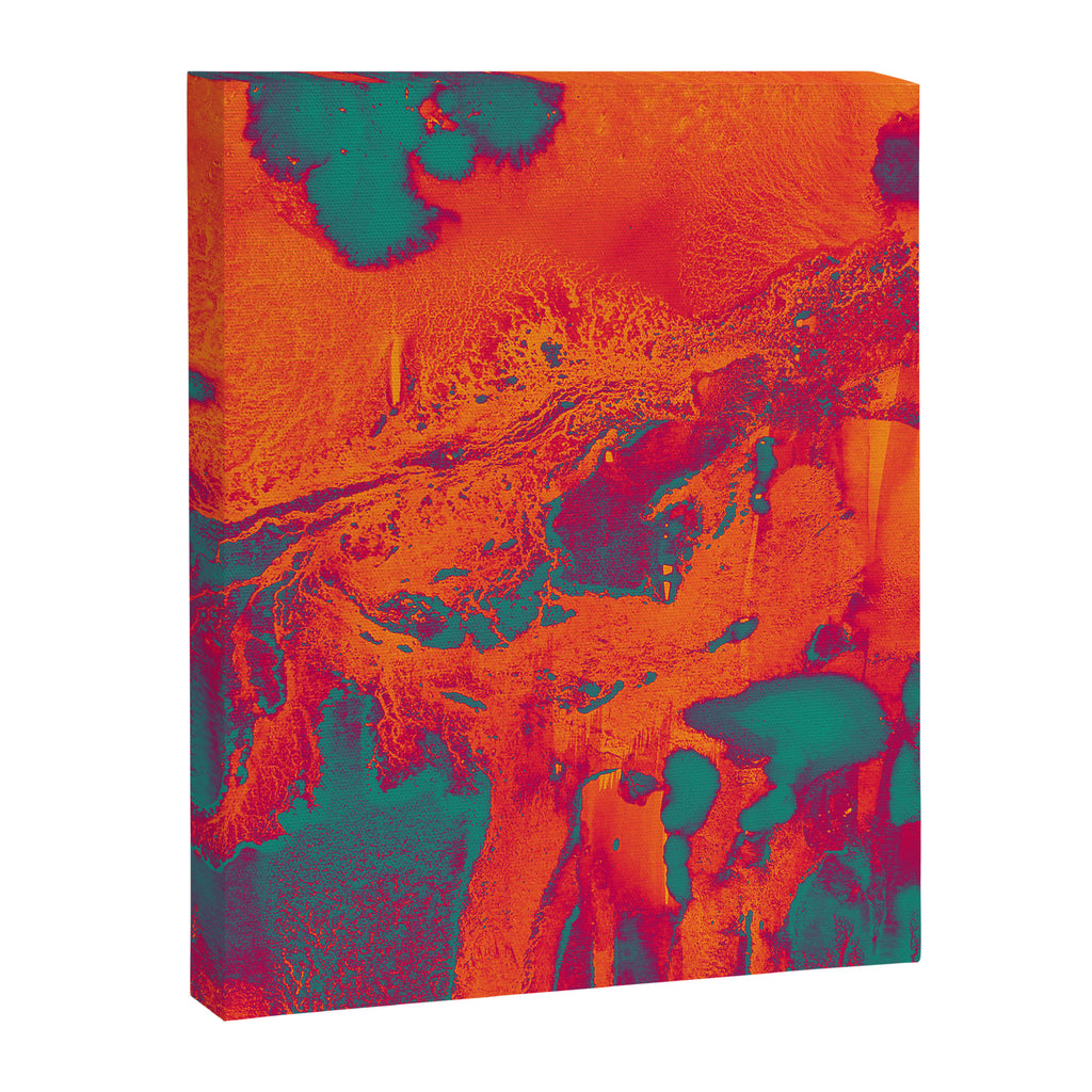 Alpha Canvas Print Gallery Image 6