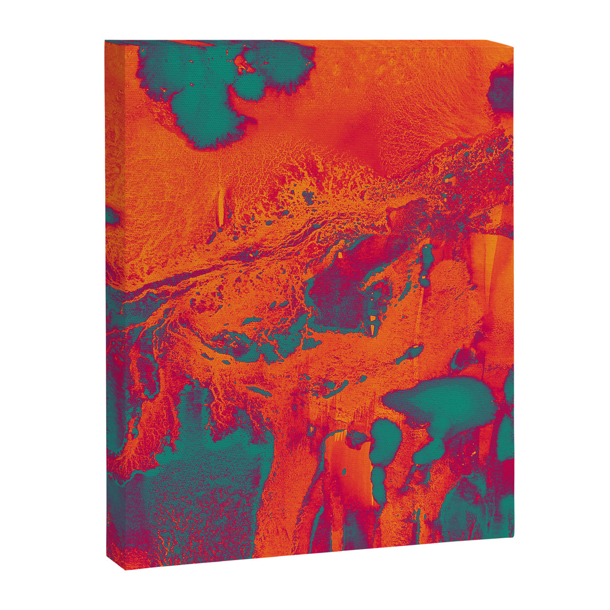 Alpha Canvas Print Gallery Image 6