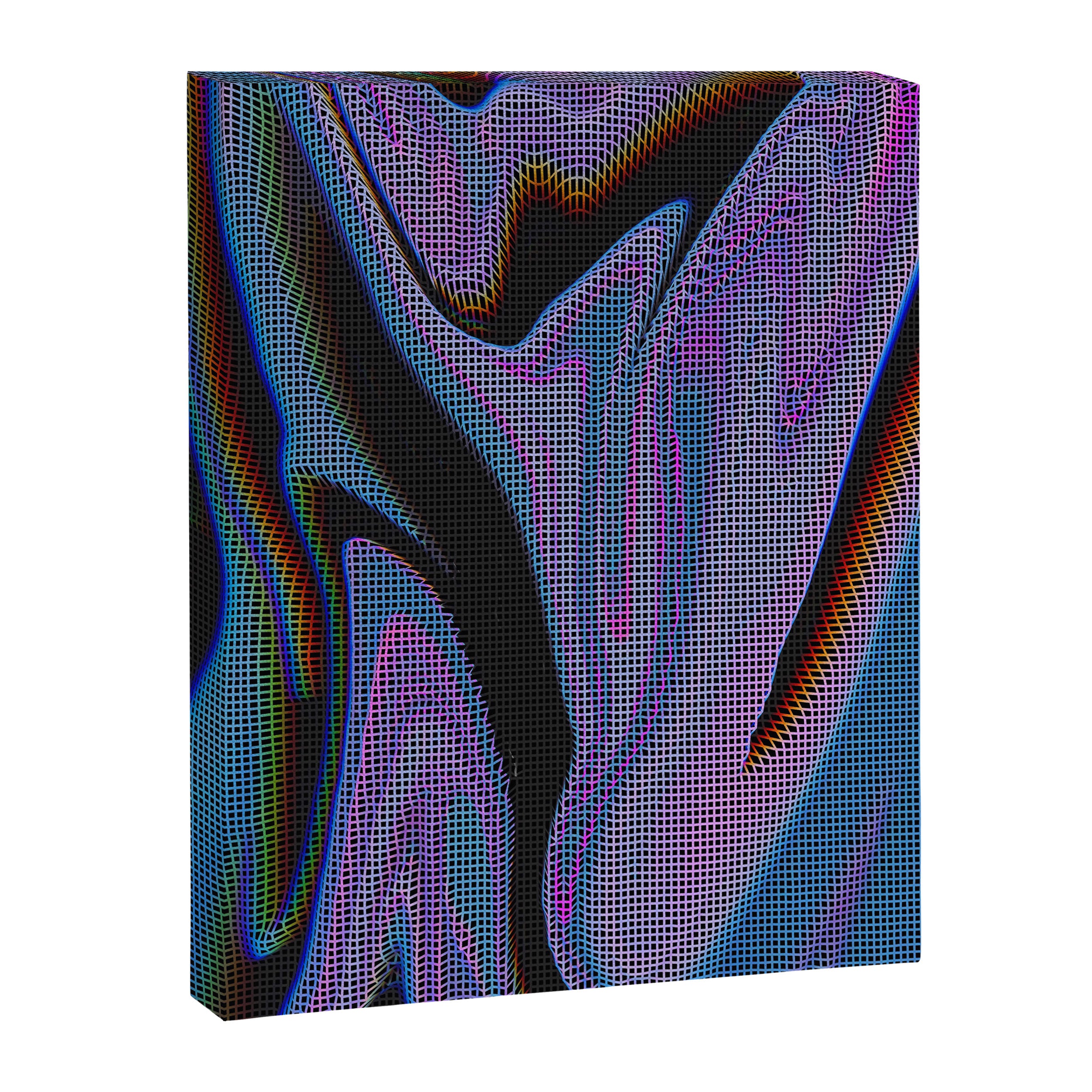I do what I want Canvas Print Gallery Image 6