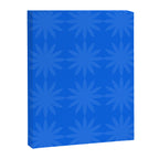 soft blue starflower Canvas Print Gallery Image 6