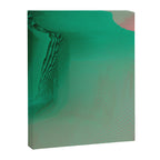 The Valley Canvas Print Gallery Image 6