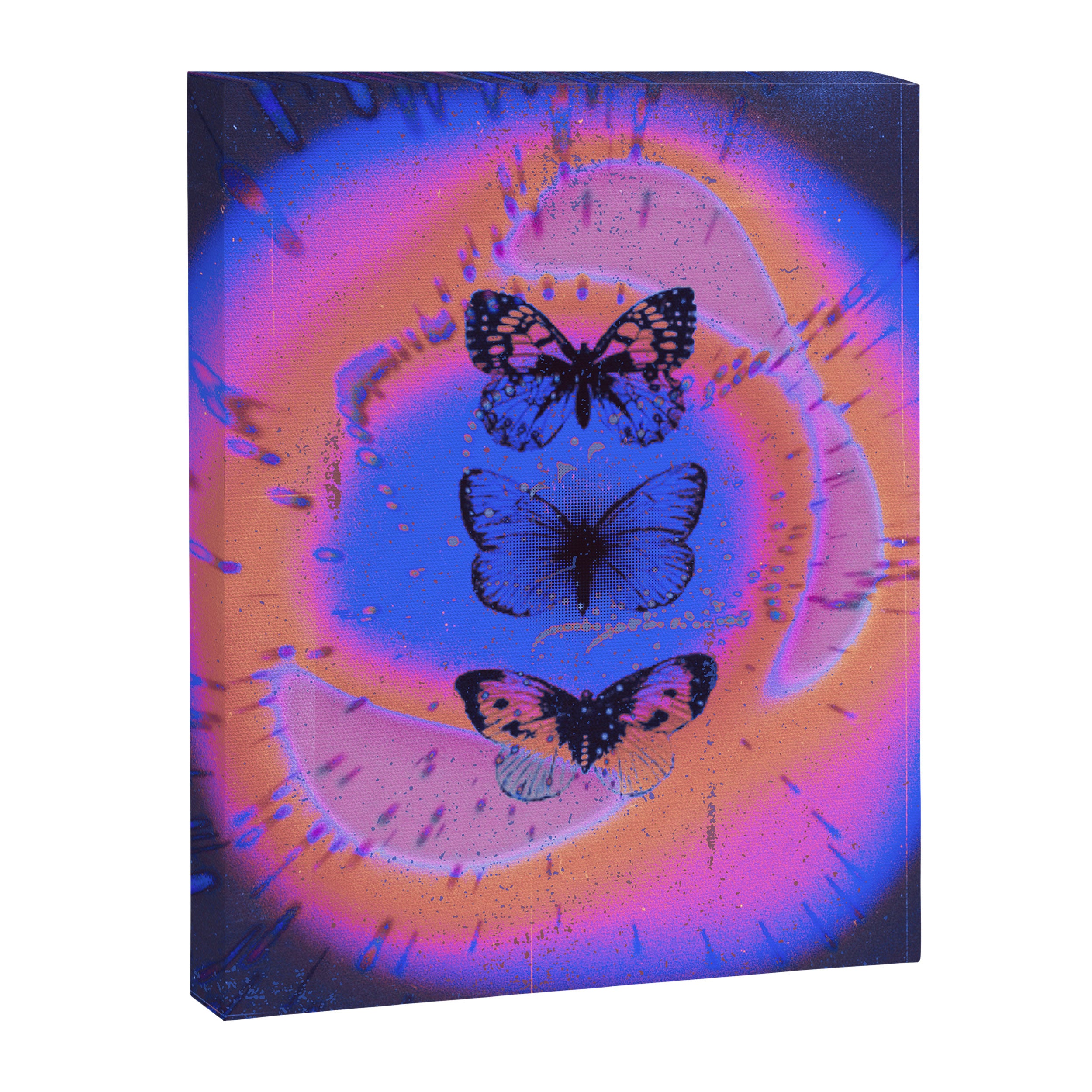Transformation Canvas Print Gallery Image 3