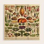 Adolphe Millot Legumes Plant Potageres Vintage Scientific Encyclopedia Illustration Lithograph  Wood Wall Art Gallery Image 1
