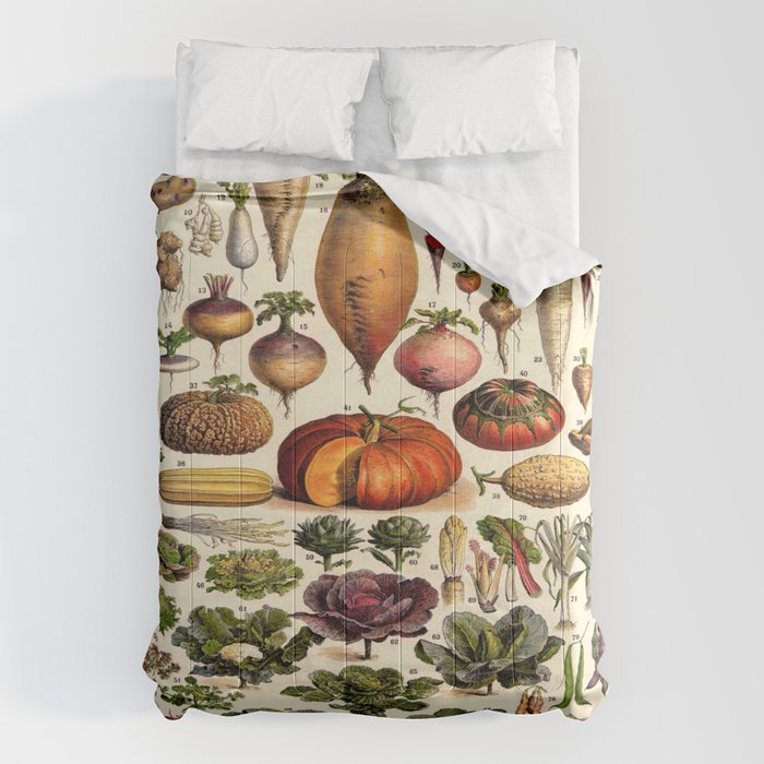 Adolphe Millot Legumes Plant Potageres Vintage Scientific Encyclopedia Illustration Lithograph  Comforter Gallery Image 6