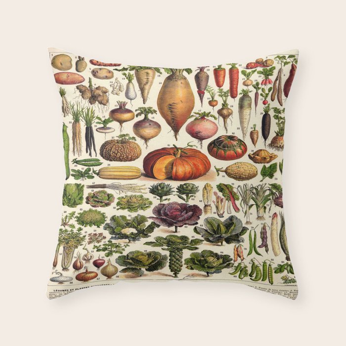 Adolphe Millot Legumes Plant Potageres Vintage Scientific Encyclopedia Illustration Lithograph  Throw Pillow Gallery Image 6