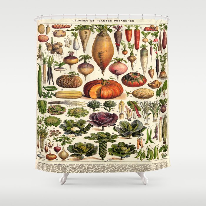 Adolphe Millot Legumes Plant Potageres Vintage Scientific Encyclopedia Illustration Lithograph  Shower Curtain Gallery Image 1