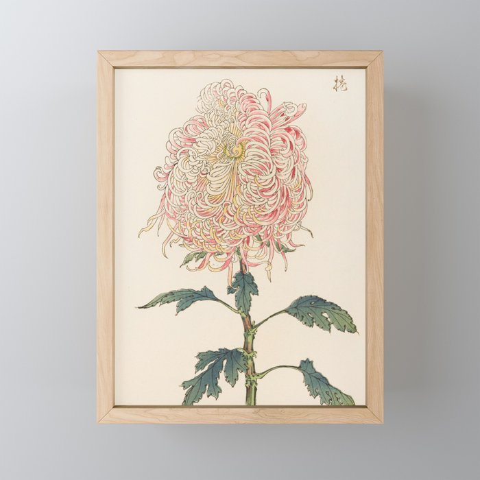 Japanese Chrysanthemum Woodblock Print #5 Mini Art Print
