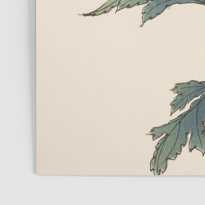Japanese Chrysanthemum Woodblock Print #5 Poster Gallery Image 3