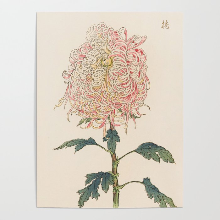 Japanese Chrysanthemum Woodblock Print #5 Poster Gallery Image 4