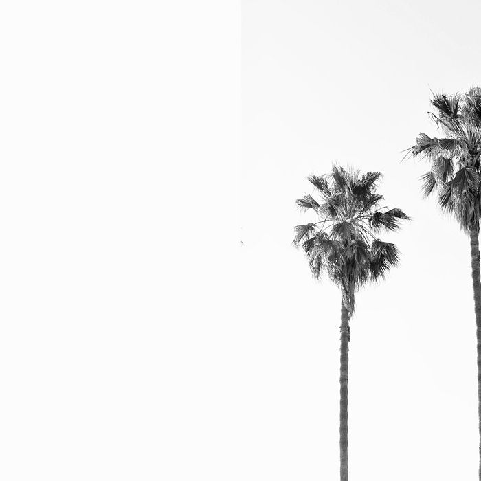 Four Palm Trees Coffee Mug Gallery Image 2