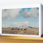 Running Reservation Horses Wall Mural Gallery Image 2