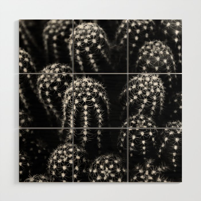 Cactus nature XIII Wood Wall Art Gallery Image 1