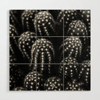 Cactus nature XIII Wood Wall Art Gallery Image 1
