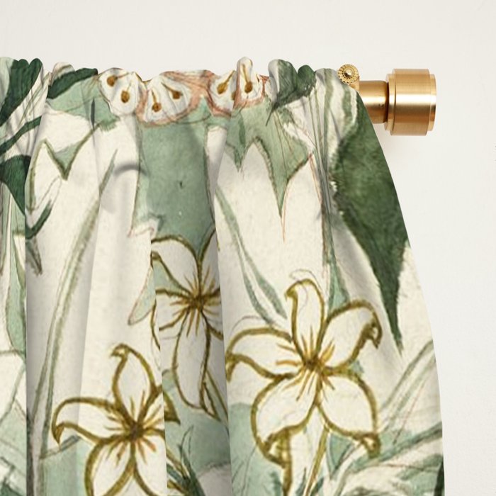 Shabby vintage ivory green rustic floral pattern Window Curtain Gallery Image 2