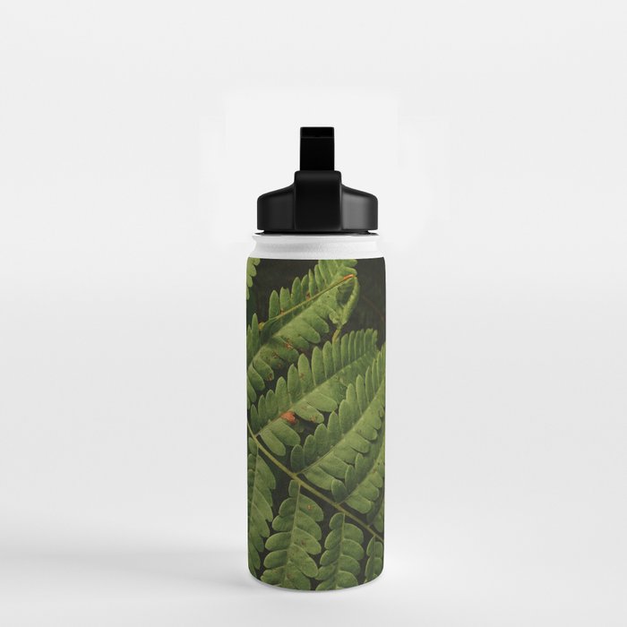Summer Fern Detail 2 Water Bottle Gallery Image 2
