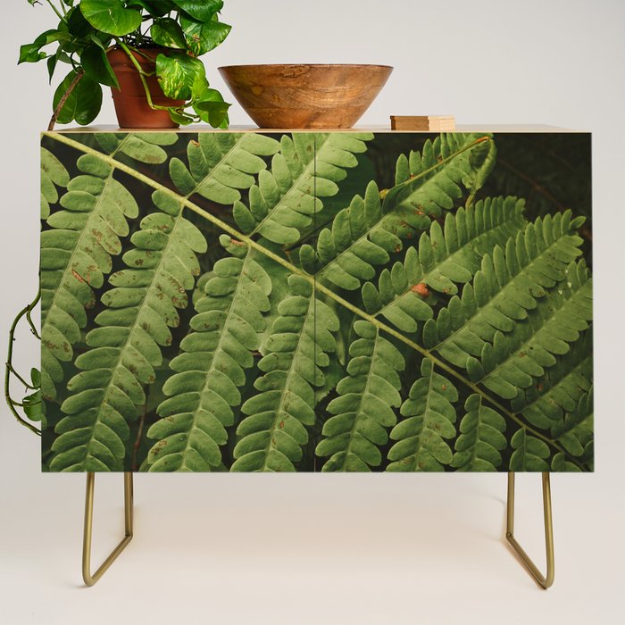 Summer Fern Detail 2 Credenza Gallery Image 1