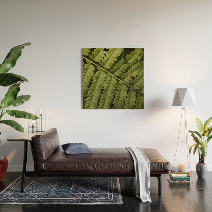 Summer Fern Detail 2 Wood Wall Art Gallery Image 2