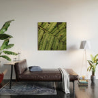 Summer Fern Detail 2 Wood Wall Art Gallery Image 2