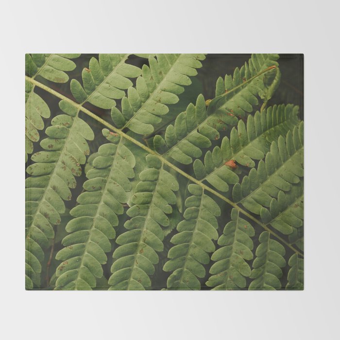 Summer Fern Detail 2 Throw Blanket Gallery Image 2