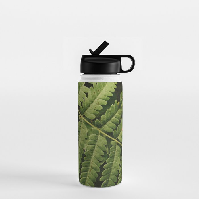Summer Fern Detail 2 Water Bottle Gallery Image 1