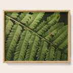 Summer Fern Detail 2 Serving Tray Gallery Image 1