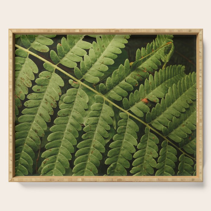 Summer Fern Detail 2 Serving Tray Gallery Image 1