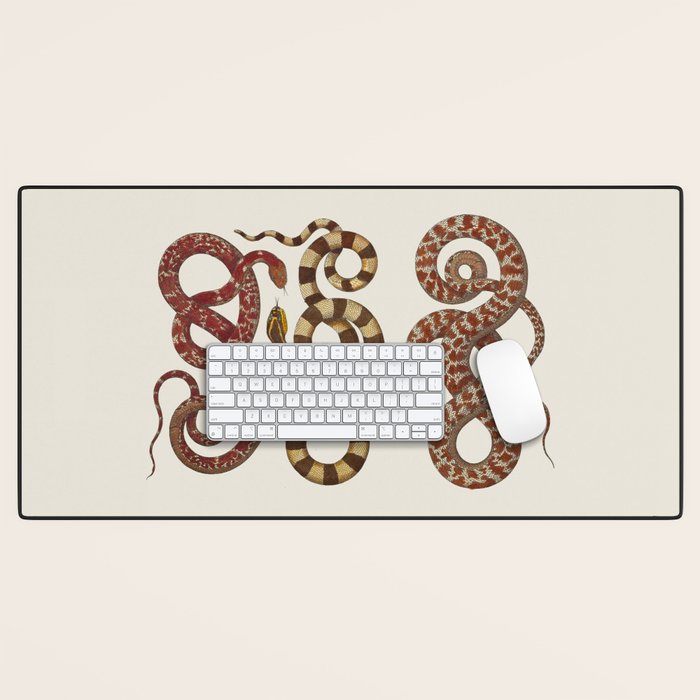 Albertus Seba A detailed description of the richest treasure of natural things Desk Mat Gallery Image 1