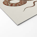 Albertus Seba A detailed description of the richest treasure of natural things Welcome Mat Gallery Image 2
