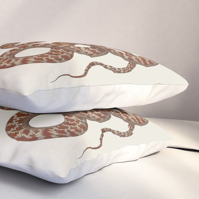 Albertus Seba A detailed description of the richest treasure of natural things Pillow Sham Gallery Image 3