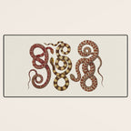 Albertus Seba A detailed description of the richest treasure of natural things Desk Mat Gallery Image 3