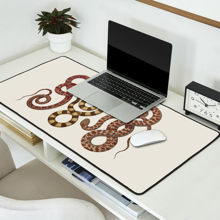 Albertus Seba A detailed description of the richest treasure of natural things Desk Mat Gallery Image 2