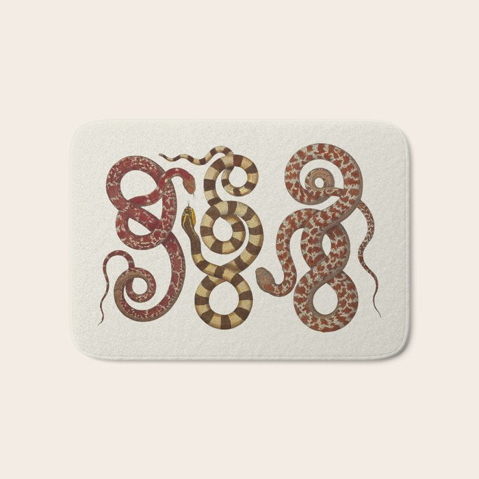 Albertus Seba A detailed description of the richest treasure of natural things Bath Mat Gallery Image 1