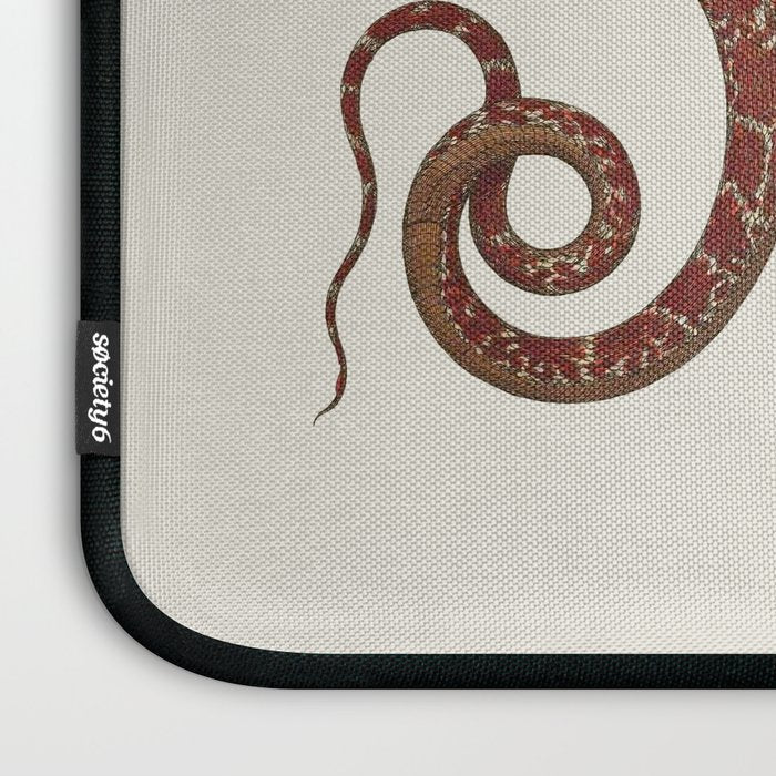 Albertus Seba A detailed description of the richest treasure of natural things Laptop Sleeve Gallery Image 3