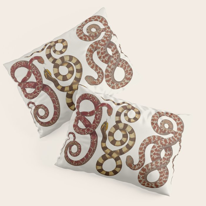 Albertus Seba A detailed description of the richest treasure of natural things Pillow Sham Gallery Image 3