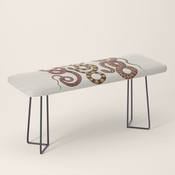 Albertus Seba A detailed description of the richest treasure of natural things Bench Gallery Image 1