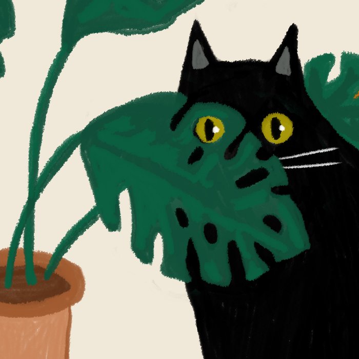 Black cat & orange tabby cat with Monstera plant Coffee Mug Gallery Image 2