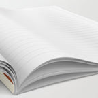 Pinstripe in Rust Notebook Gallery Image 2