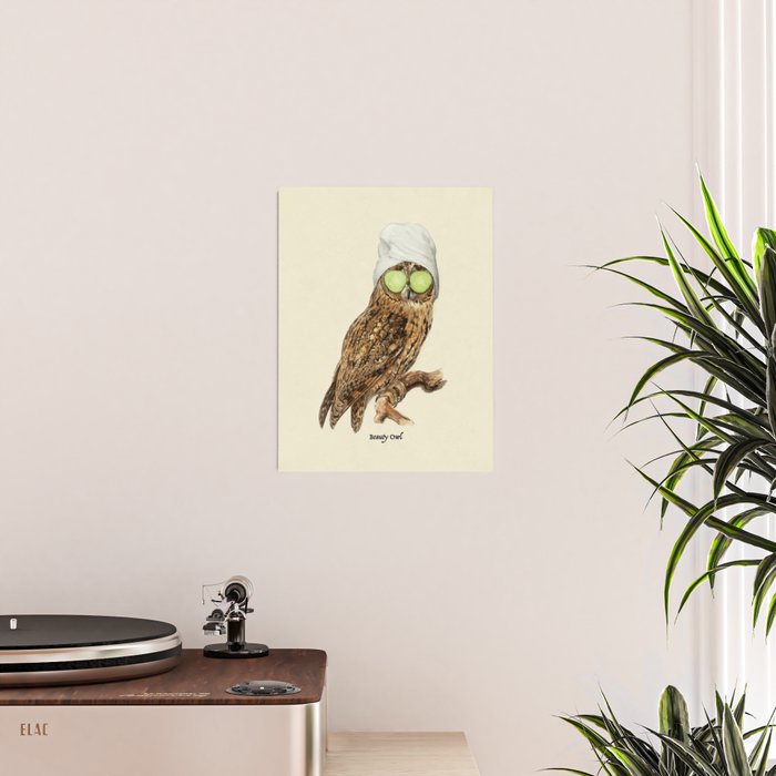 Beauty Owl Poster Gallery Image 2